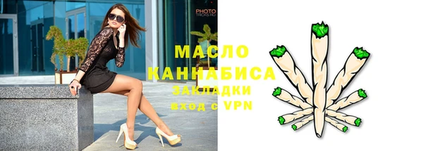 стафф Снежногорск