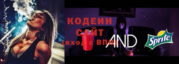 стафф Снежногорск