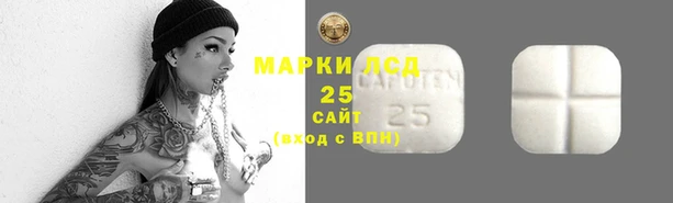 стафф Снежногорск