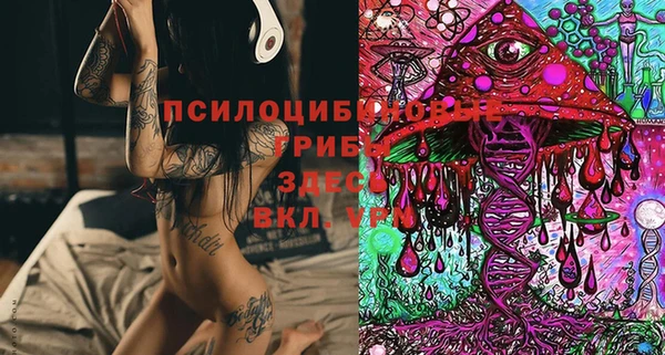 стафф Снежногорск
