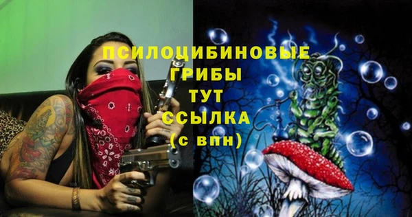 стафф Снежногорск