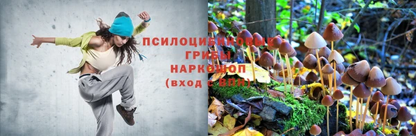 гашик Слюдянка