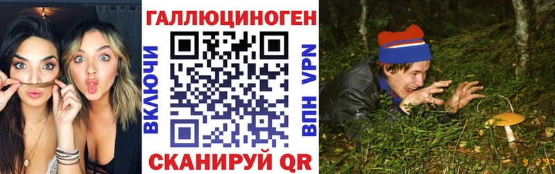 Галлюциногенные грибы мицелий  Нижний Новгород 