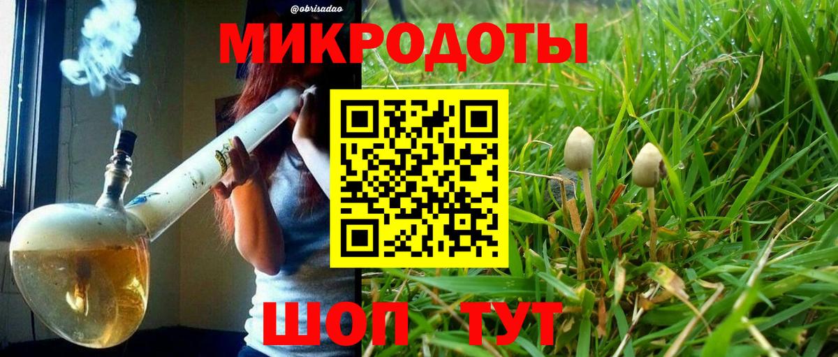 Псилоцибиновые грибы прущие грибы Нижний Новгород