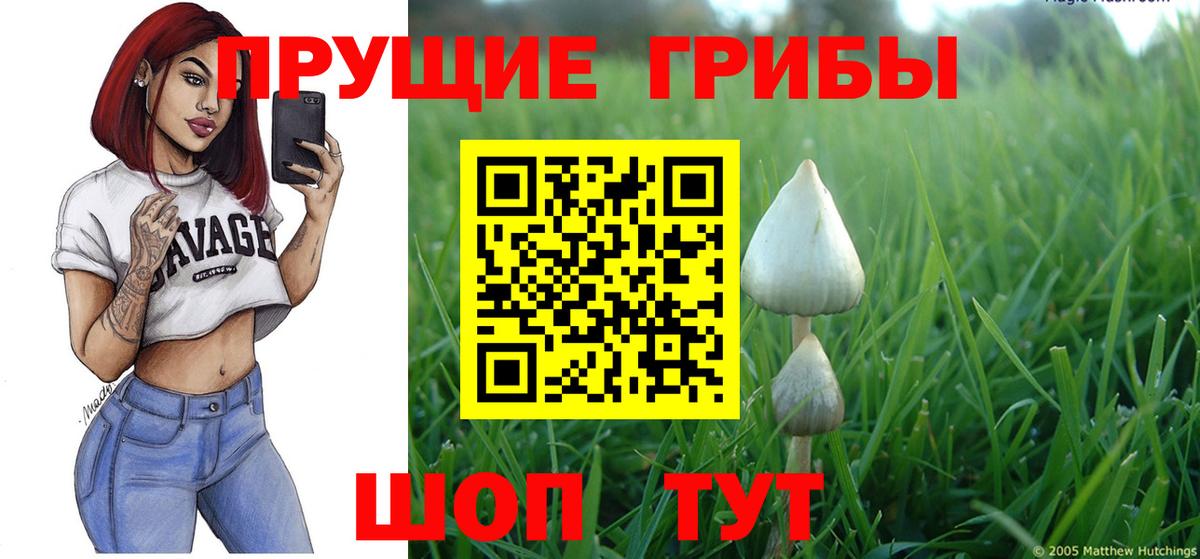 Псилоцибиновые грибы GOLDEN TEACHER Нижний Новгород
