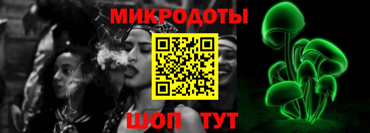 Псилоцибиновые грибы MAGIC MUSHROOMS  Вход с VPN  Нижний Новгород 